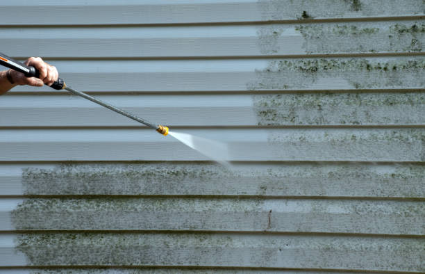 Best Concrete Pressure Washing  in Woodward, IA