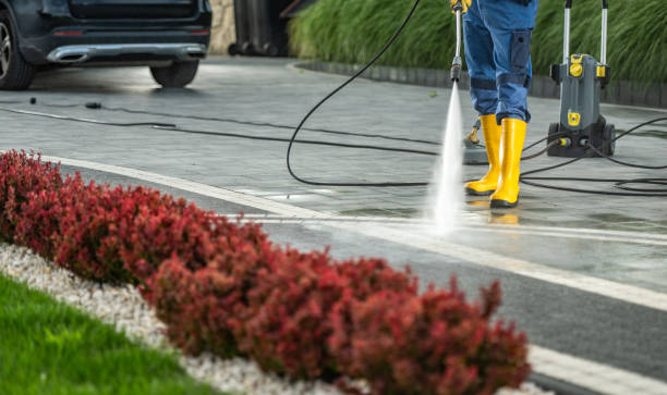 Best Affordable Pressure Washing  in Woodward, IA