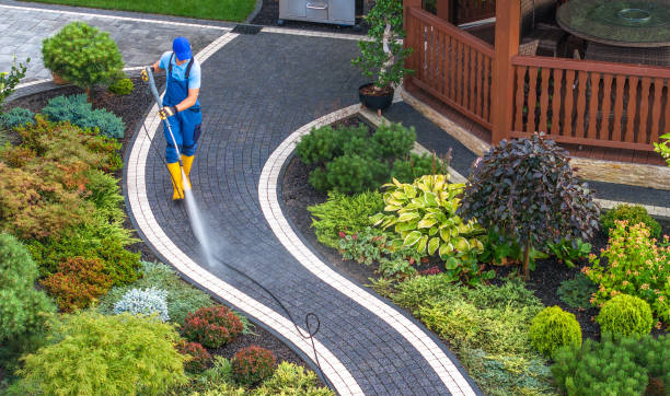 Best Affordable Pressure Washing  in Woodward, IA